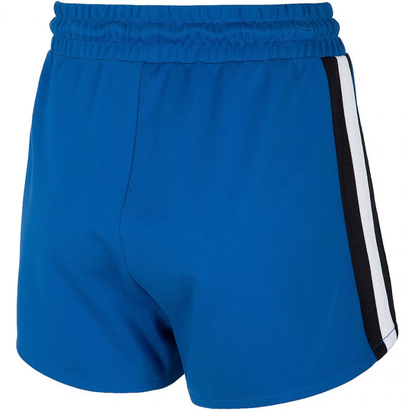 Shorts 4F W H4L20 SKDD002 36S