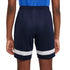 Nike Dri-FIT Academy 21 Jr CW6109-451 training shorts