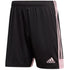 Adidas Tastigo 19 M DP3250 shorts