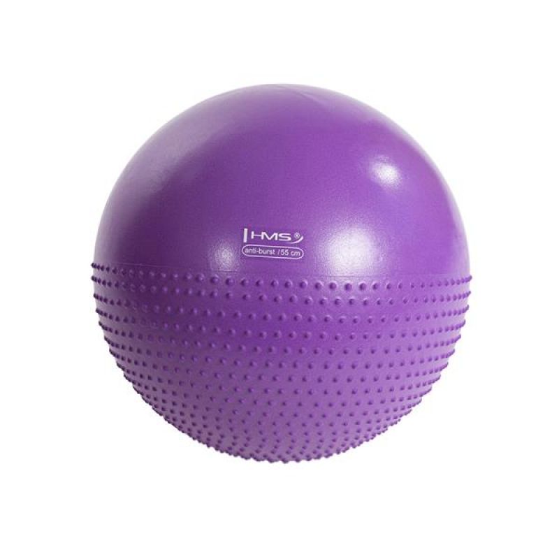 HMS YB03 55cm purple gymnastic massage ball