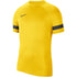 Nike Dri-FIT Academy M CW6101-719 majica