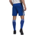 Adidas Squadra 21 Short M GK9153