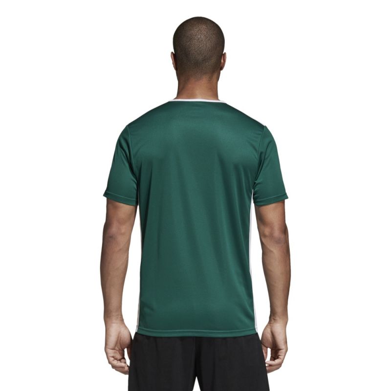 Adidas Entrada 18 CD8358 football jersey