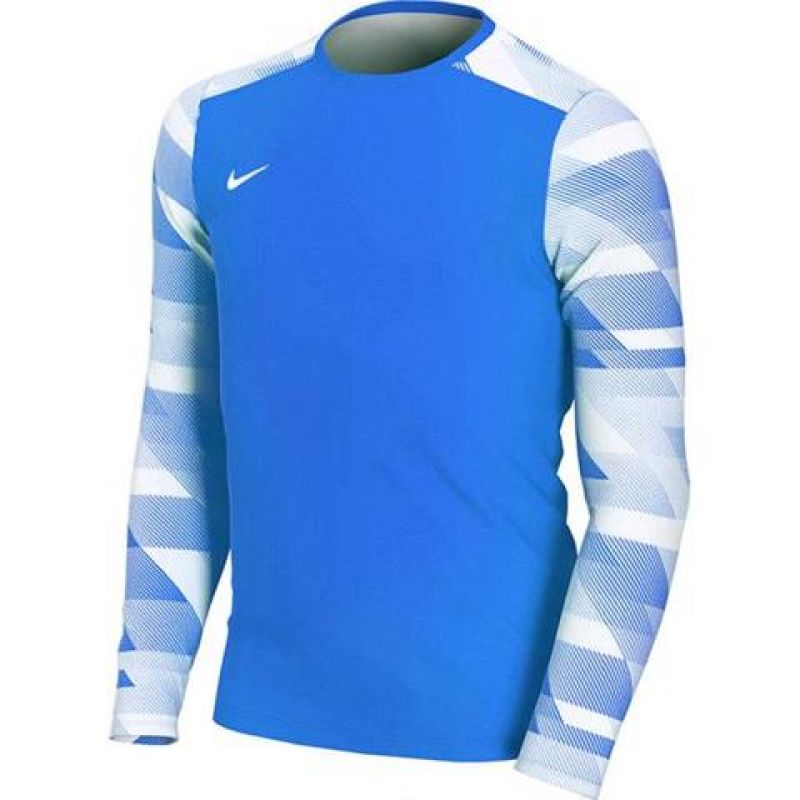 Vratarski dres Nike Dry Park IV JSY LS JR CJ6072-463