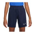 Nike Dri-FIT Academy 21 Jr CW6109-451 training shorts