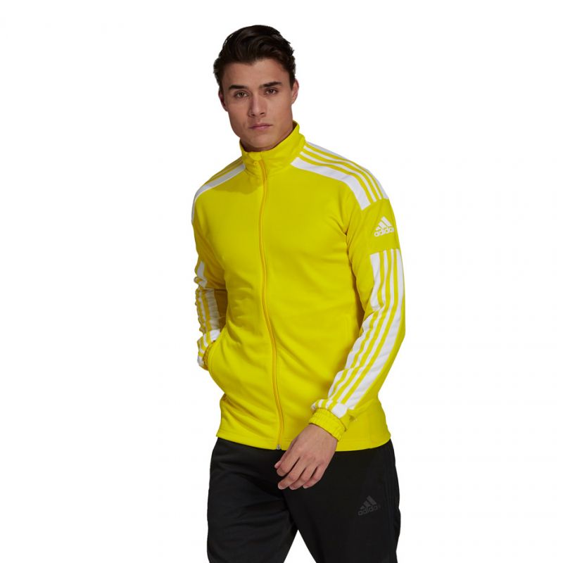 Adidas Squadra 21 Training M GP6465 sweatshirt