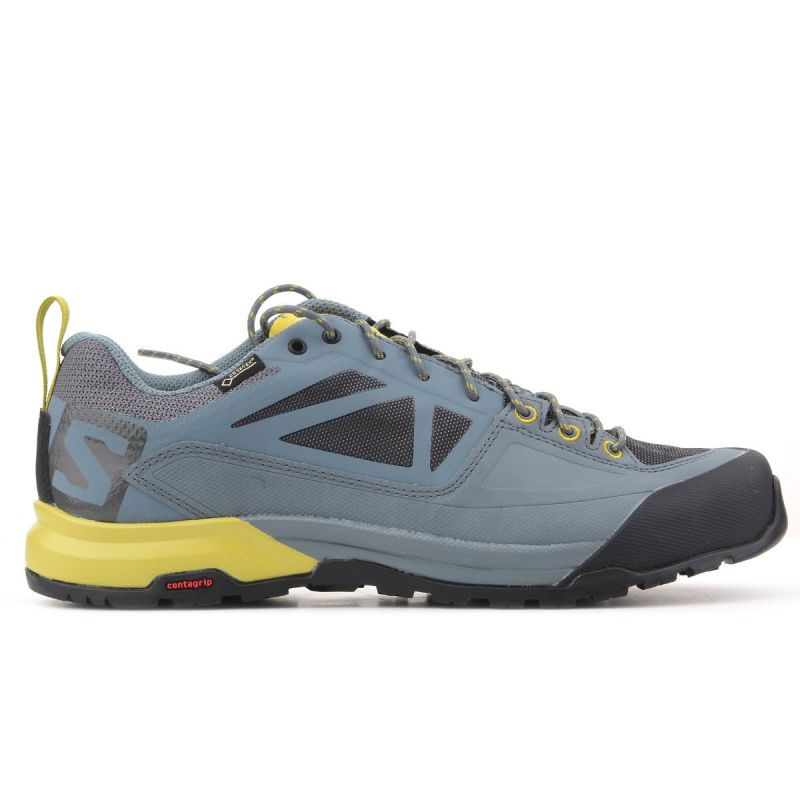 Cipele Salomon X Alp SPRY GTX M 401621