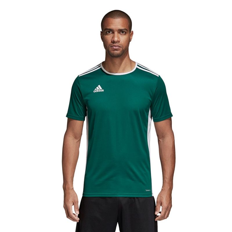 Adidas Entrada 18 CD8358 football jersey