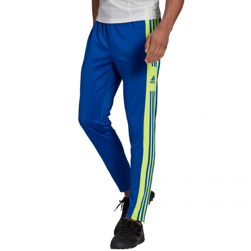 Adidas Squadra 21 Training Pant M GP6451