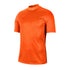 Golmanski dres Nike Gardien III GK M BV6714-803