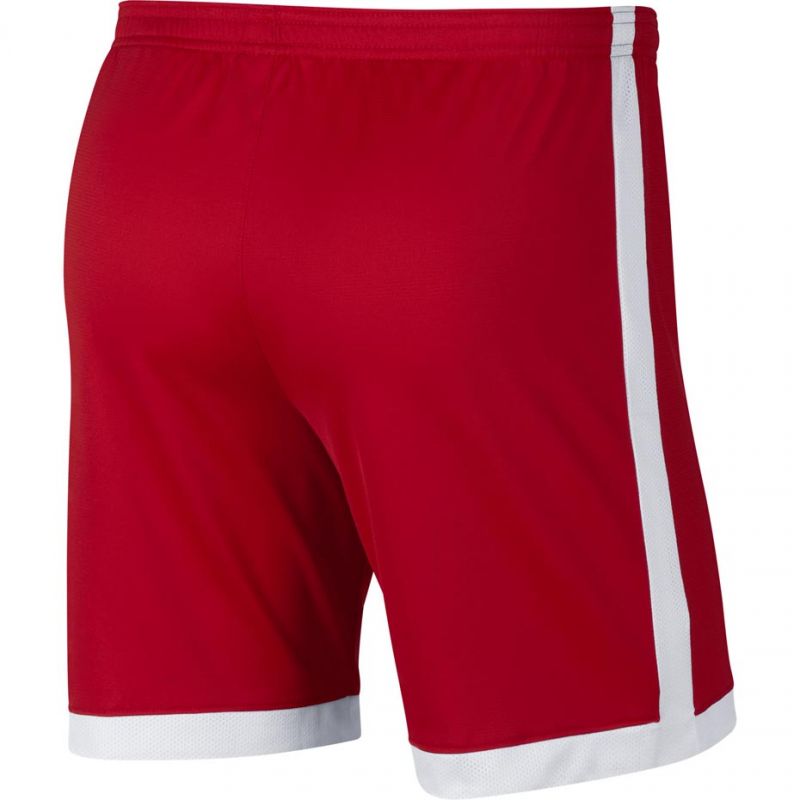 Nike Dry Academy M AJ9994-657 football shorts