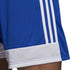 Kratke hlače adidas Tastigo 19 Shorts Jr DP3682