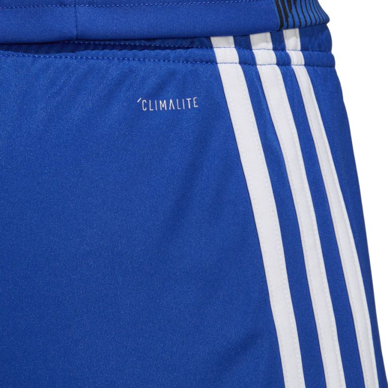 Kratke hlače adidas Tastigo 19 Shorts Jr DP3682