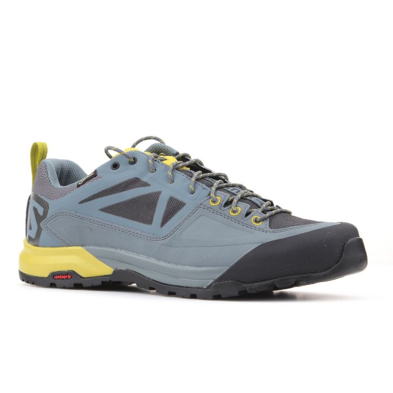 Cipele Salomon X Alp SPRY GTX M 401621