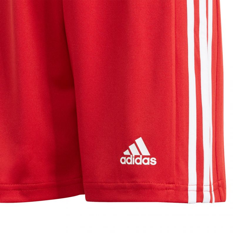 Adidas Squadra 21 Short Youth Jr GN5761