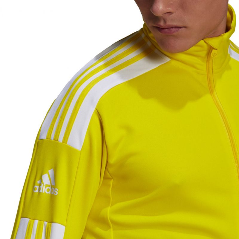 Adidas Squadra 21 Training M GP6465 sweatshirt