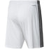 Adidas Squadra 21 Short M GN5773